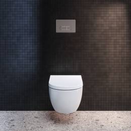 Ideal Standard WC klavišas Oleas M1 potinkiniam WC rėmui, baltas